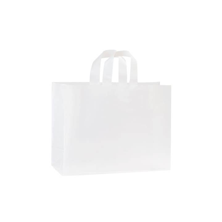 Store Supply Warehouse - Wholesale Gift Bag - Frosted Retail Shopping Bags21