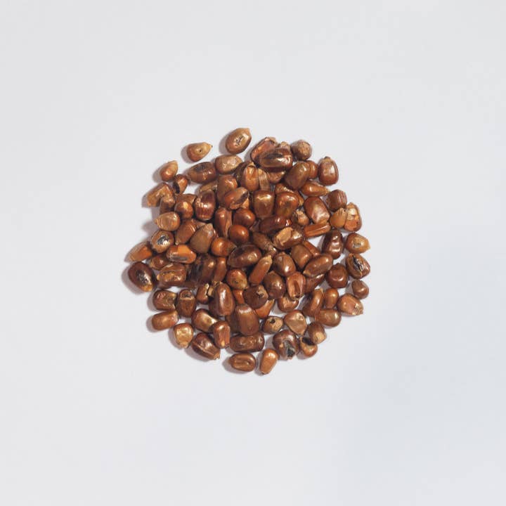 Friend Hangs - Wholesale Loose Tea - Organic Roasted Corn Korean Herbal Tisane Tea Whole Kernels