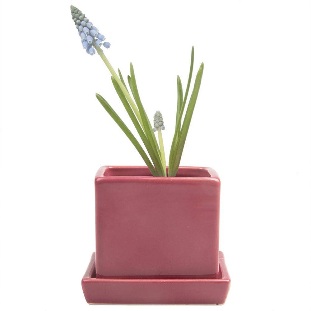 Chive - Wholesale Plant Pot - Cube Pot With Saucer And Drainage Hole 60 Plus Colors7