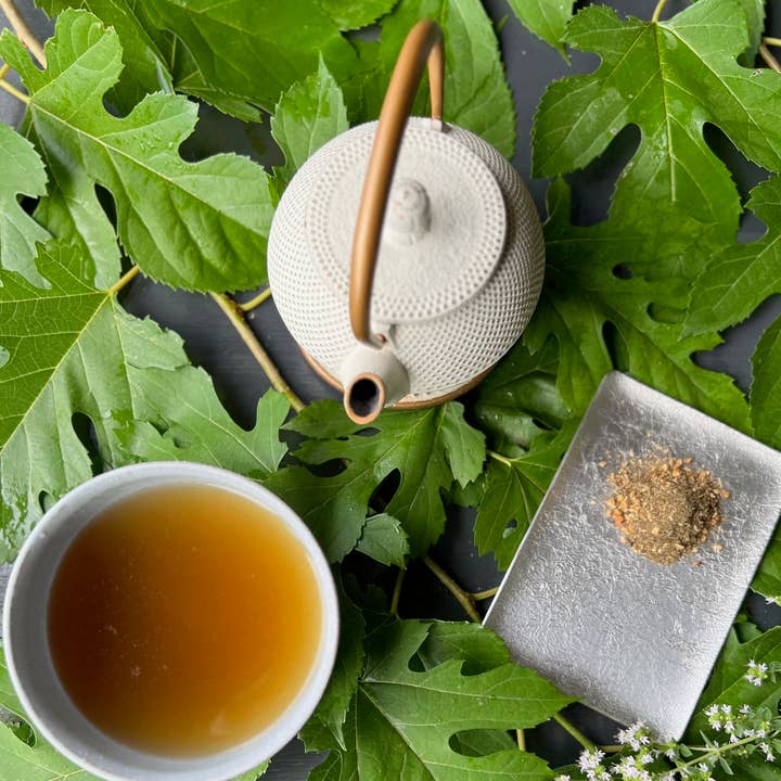 BotaPia - Wholesale Health/Detox Tea - CaffeineFree, Mugwort Ginger Tea - Warm3