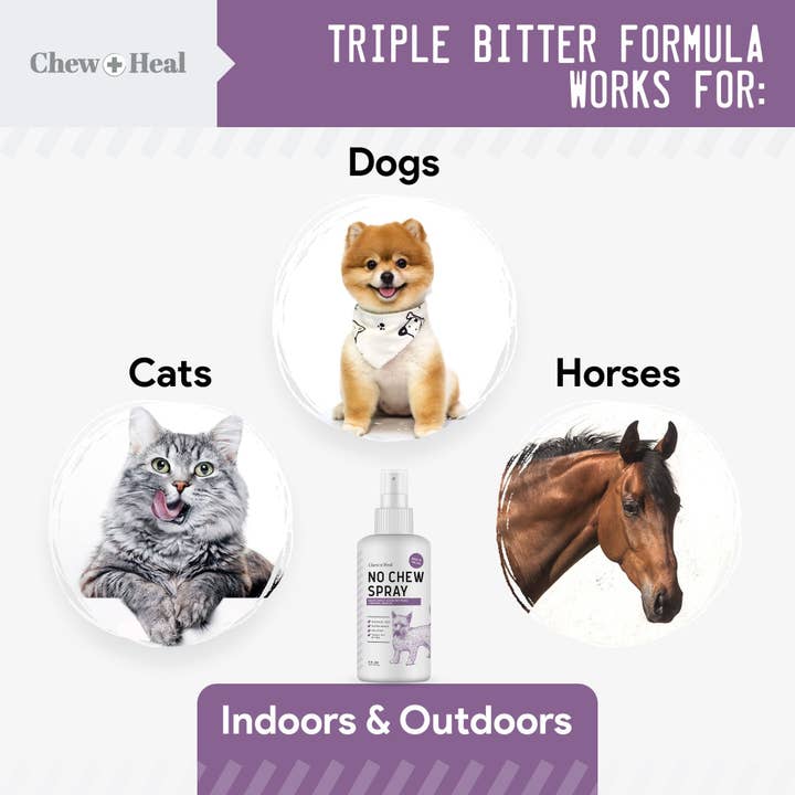 Chew + Heal – Großhandel Haustierspray – Hund – Kein Kauspray für Hunde & Katzen| Anti-Kauspray| Kauen+Heilen