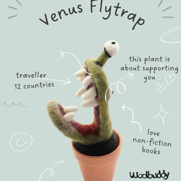 Woolbuddy - Vente Pot - Plante de Dionée en laine feutrée à la main0