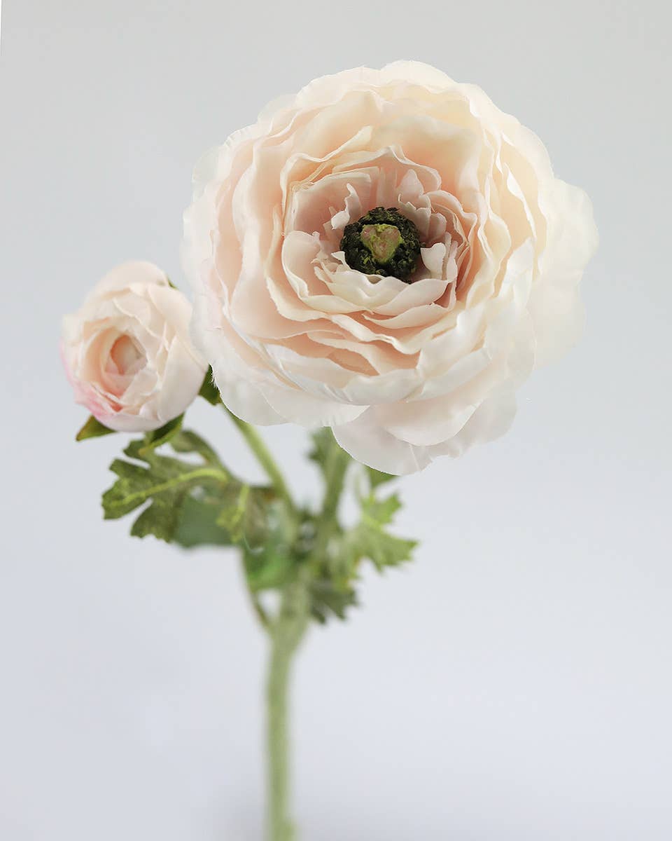 Prestige Botanicals - Vente Fleurs artificielles - Renoncule artificielle rose pâle 49,5 cm2