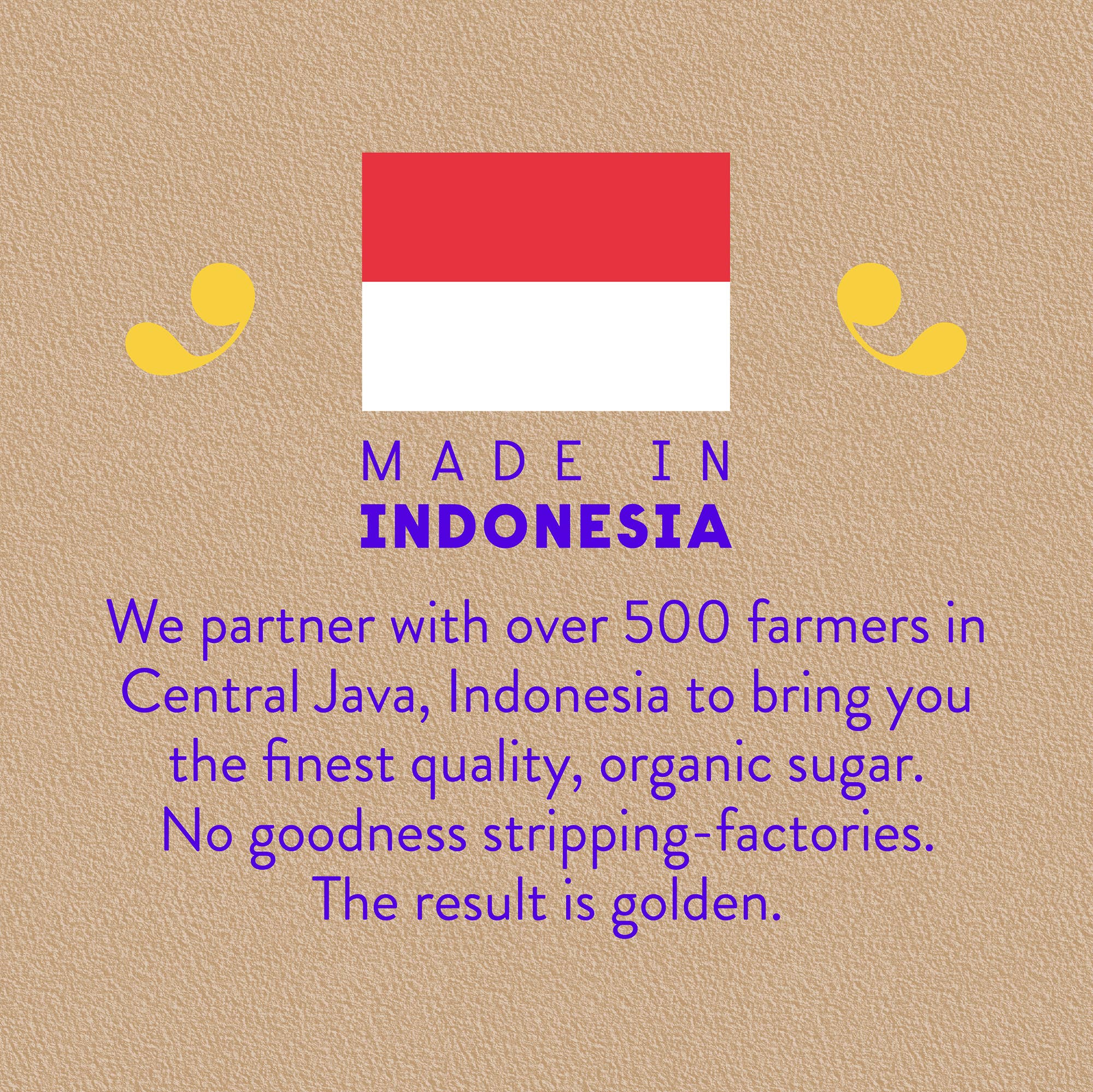 Bonraw Foods – Großhandel Zucker – Bonraw Bio Kokosblütenzucker 200g, 6er-Pack4