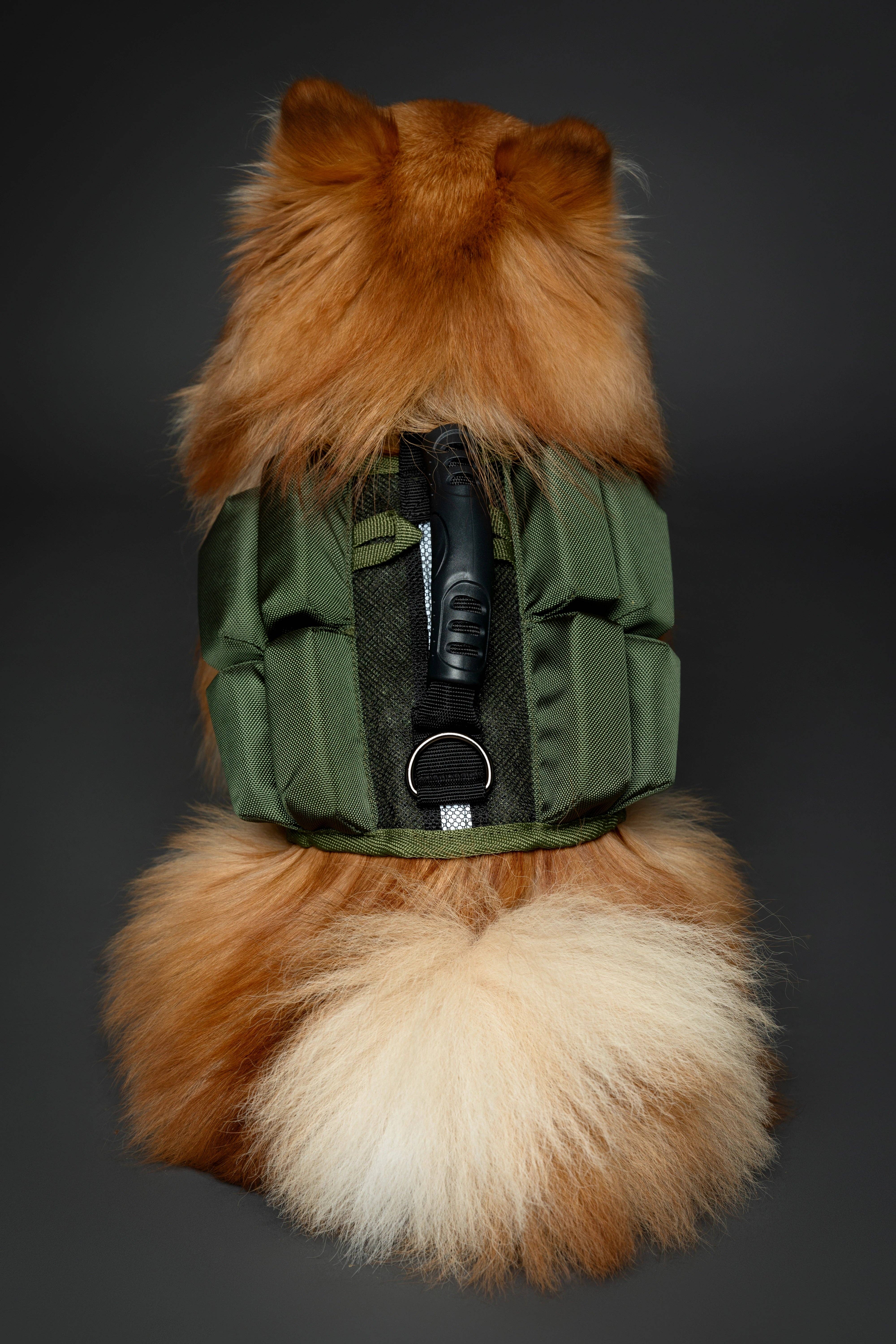 NOAH AND PAW LLC - Wholesale Pet Jacket - Dog - Human Standards Dog Lifejacket Design with 4x Foam Support for Max Floating - Green4