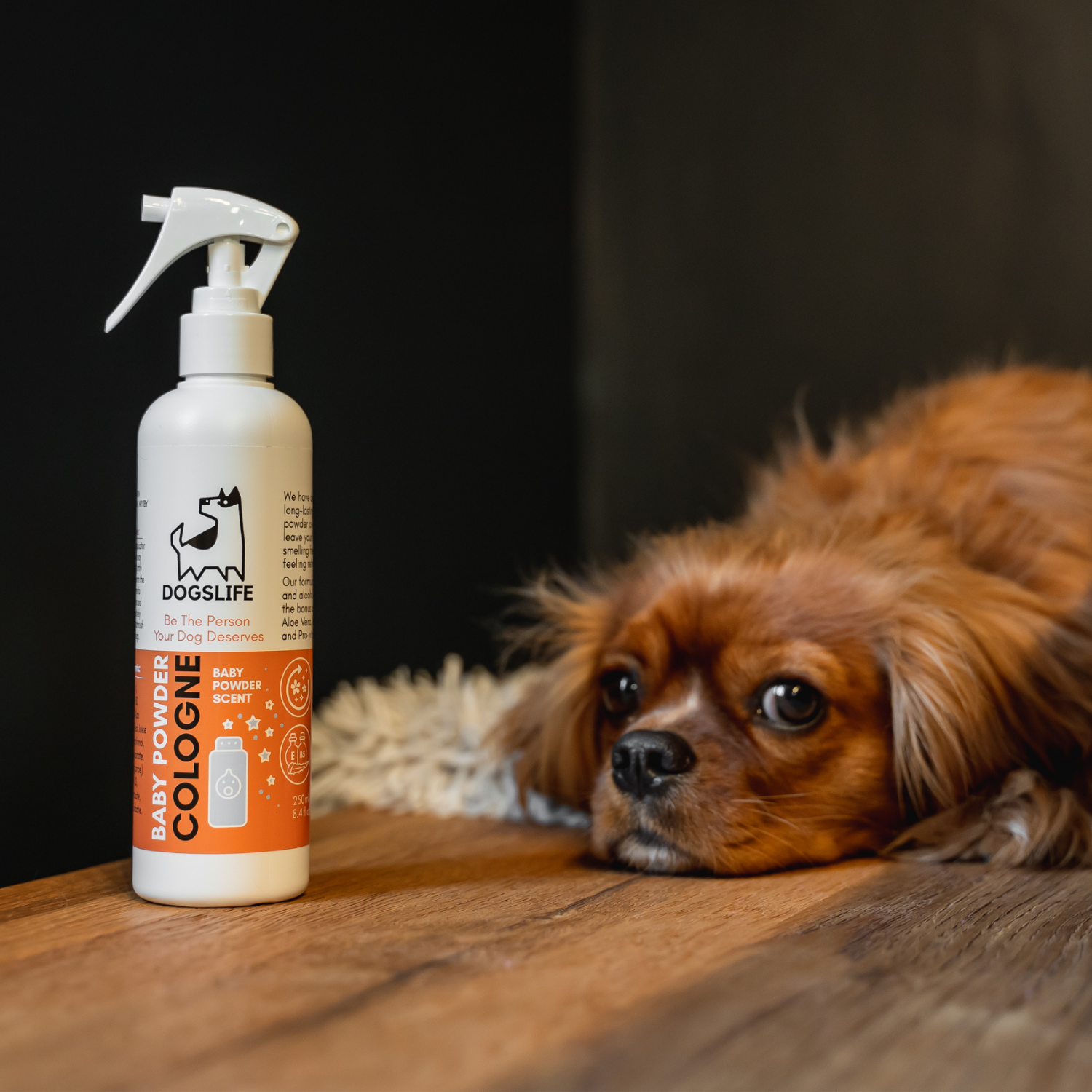 DogsLife - Venta al por mayor Spray para mascotas - Perros - Colonia para perros (aroma a talco para bebés)5