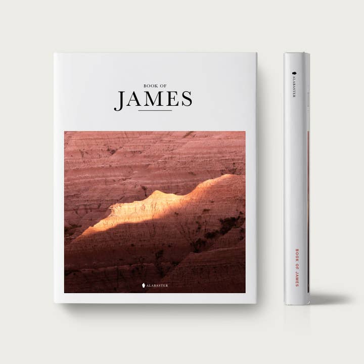 Alabaster Co - Vente Livre sur la religion - Le livre de James