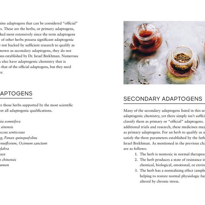 Union Square & Co. - Wholesale Book - Adult - Adaptogens by Adriana Ayales