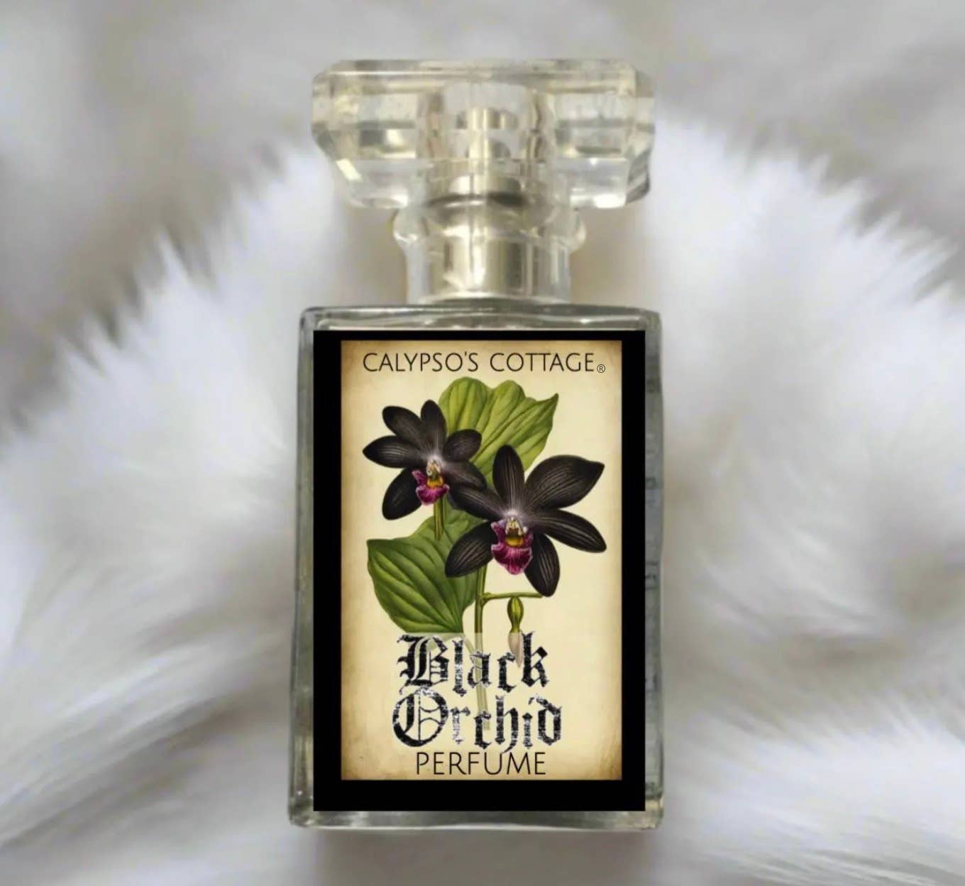 Calypso's Cottage® - Wholesale Perfume/Eau de Toilette - Black Orchid Perfume