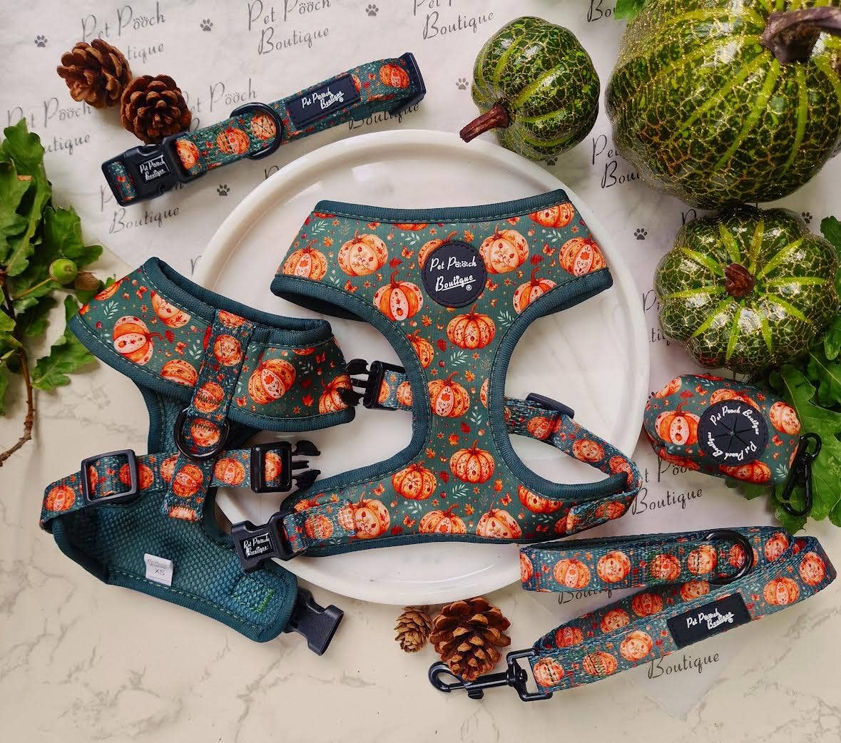 Pet Pooch Boutique – wholesale Pet collar – Dog – Harvest Pumpkin Patch Dog Collar - Size XS-L (autumn)4