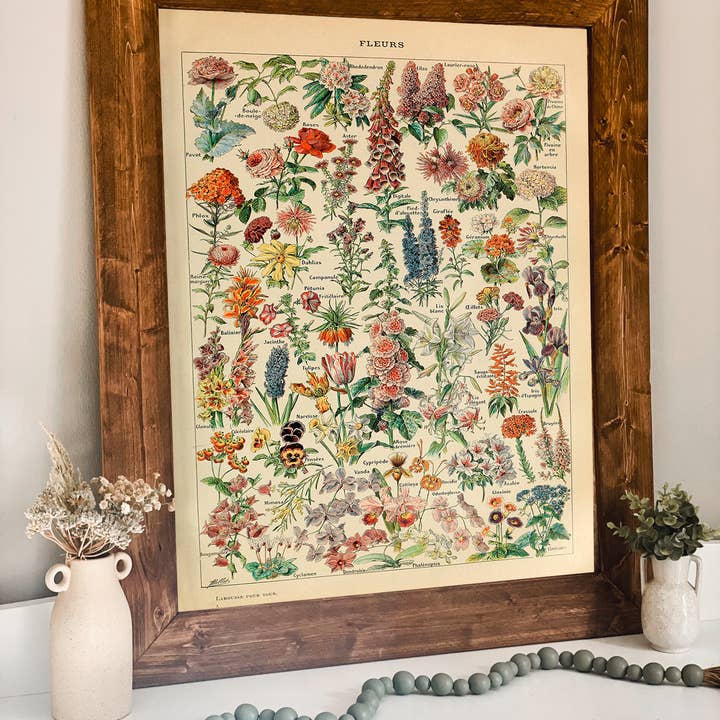 Swinford Designs - Wholesale Art Print - Fleurs Vintage Flower Chart - Choose Frame Size & Color