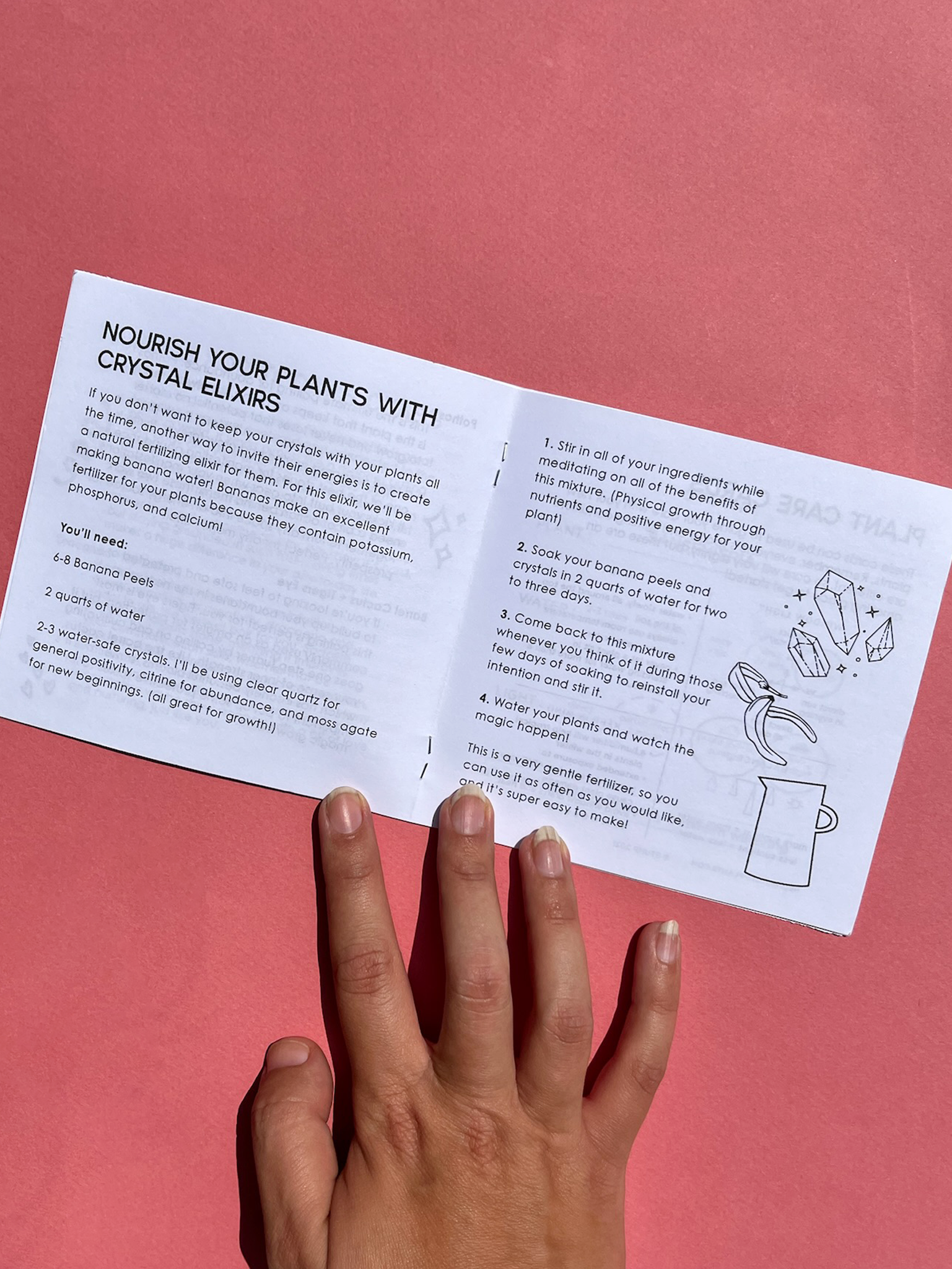 Venus Moon - Wholesale Nature & Outdoors Book - Plants + Crystals: An Energetic Pairing Zine1