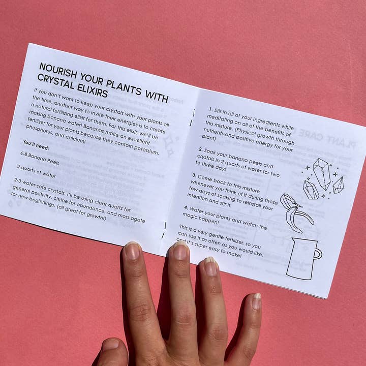 Venus Moon - Wholesale Nature & Outdoors Book - Plants + Crystals: An Energetic Pairing Zine1