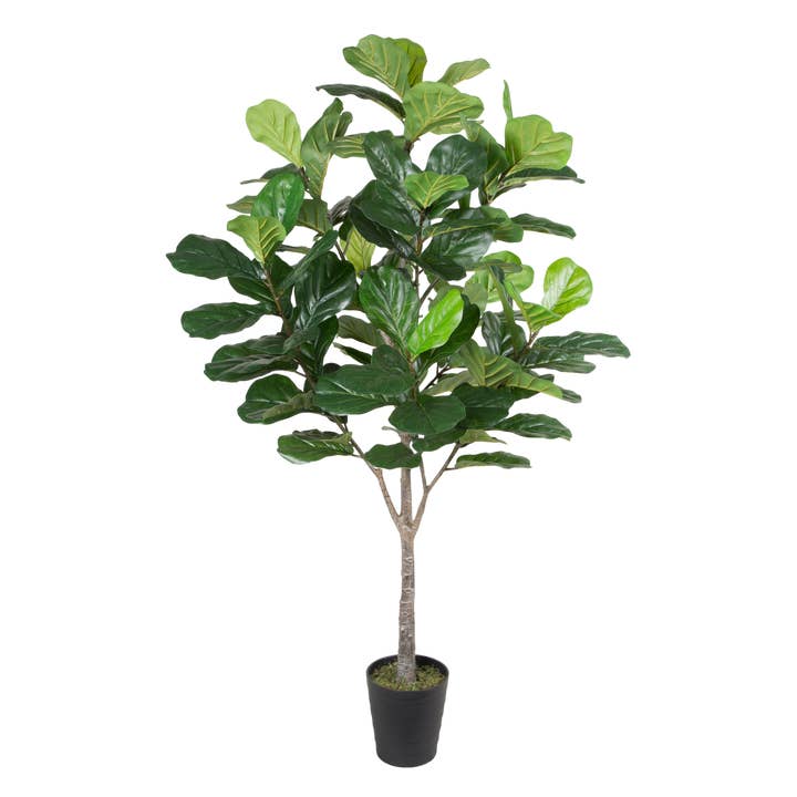 PTT120 Fiddle Leaf Tree 6' for wholesale by Myrians Home Decor