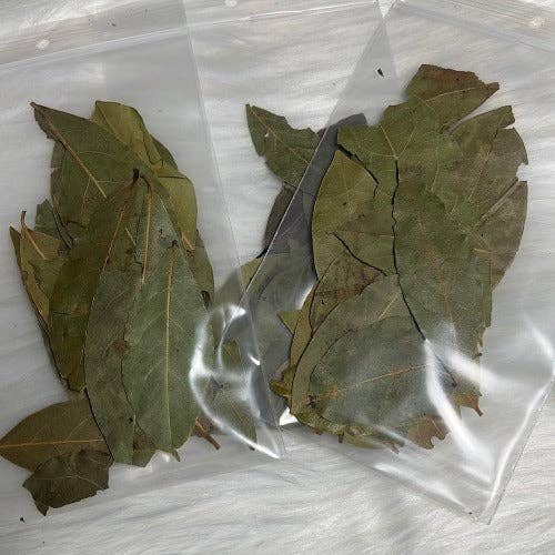 WHOLIFECO - Wholesale Meditation Supplies - Dozen of Bay leaves for manifestation - Prosperity & Abundance1