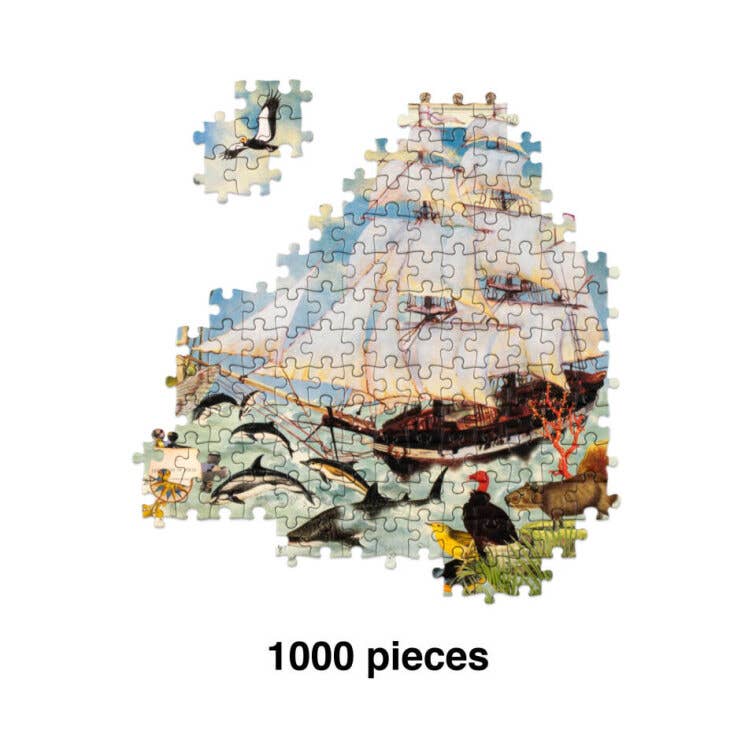Abrams - Wholesale Puzzle - Adult - The Voyage of HMS Beagle1