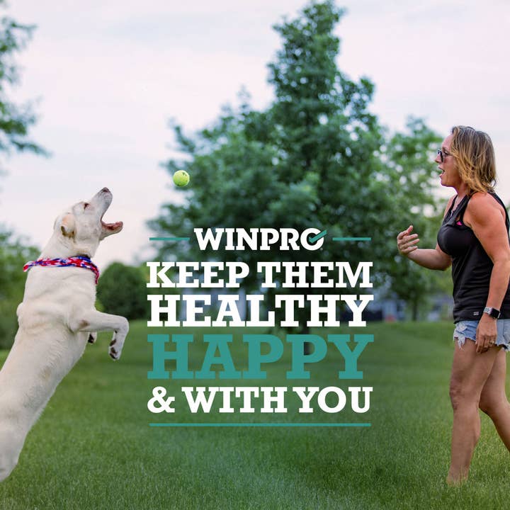 WINPRO Pet - Wholesale Pet Supplement - Dog - Natural Probiotic + Plasma Immune Support Dog Meal Topper9