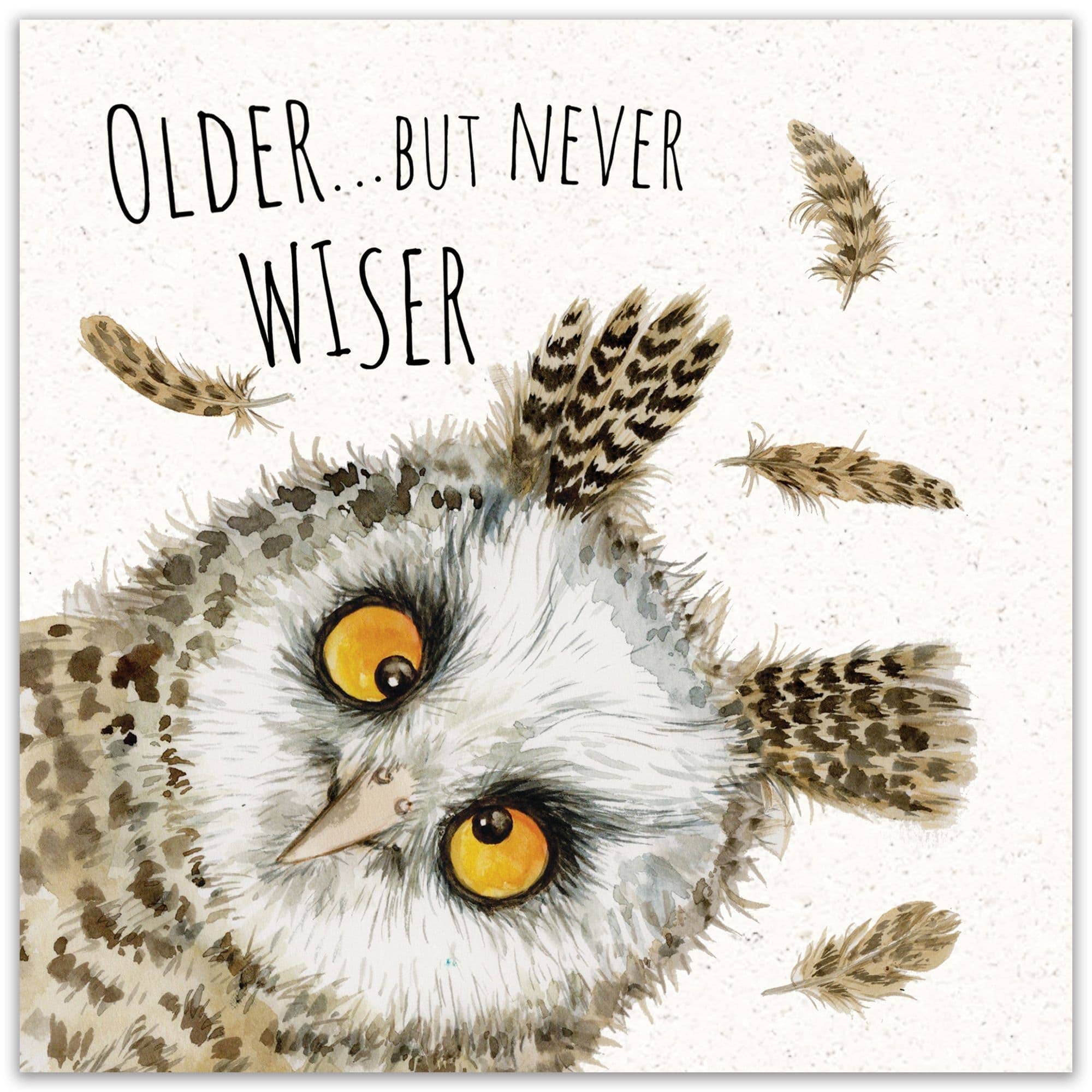Twizler Ltd - Wholesale Birthday Card - Funny Card Owl Never Wiser1