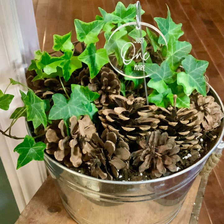 Crawford Custom Engraving - Venta al por mayor Postes de jardín/césped - Marcadores para plantas y jardines, juegos de palabras con plantas, divertidos marcadores de plantas