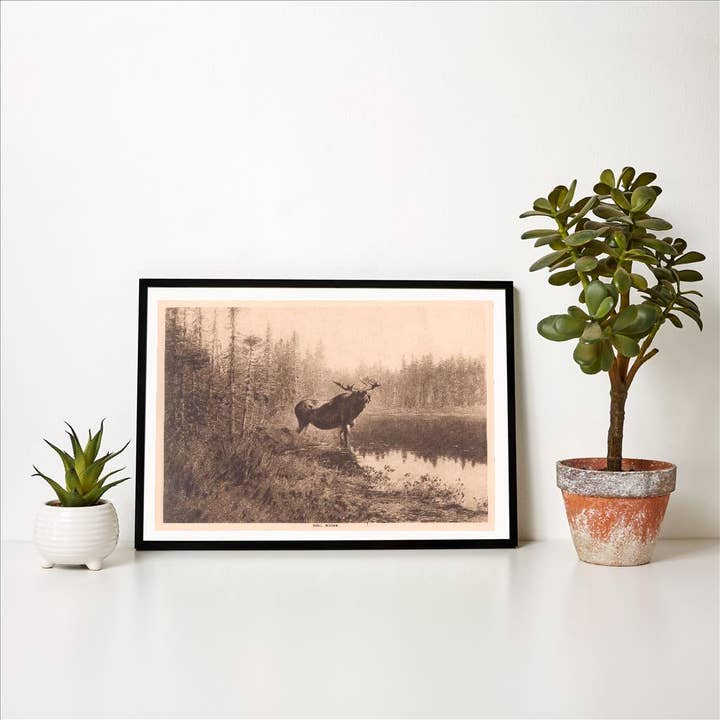 Impression d'art AN-732 Élan pour la vente par Found Image Press