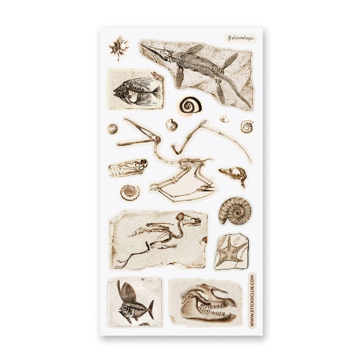 STICKII - Wholesale Sticker - Fascinating Fossils Sticker Sheet