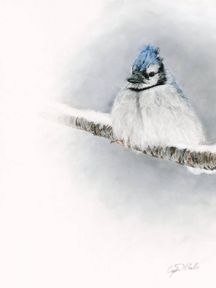Blue Jay Fine Art Giclee Print 'Resilience' for wholesale by Crystal Clarke Animal Art