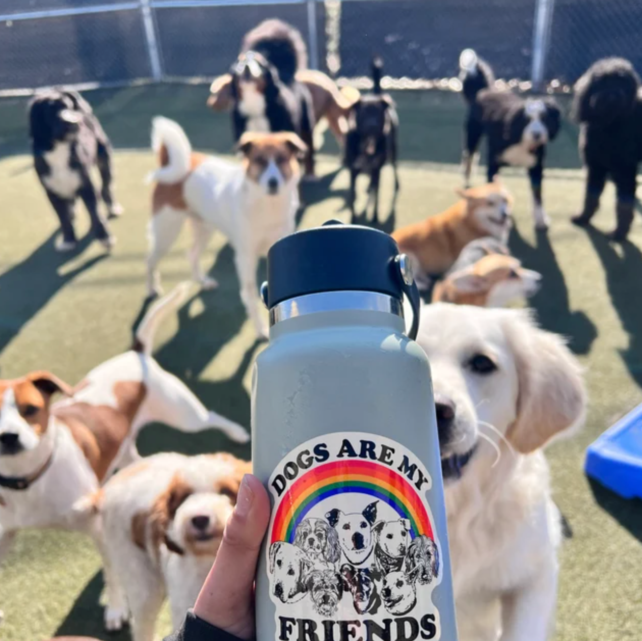 Astral Weekend – wholesale Sticker – 3 Inch Sticker Dogs Are My Friends1