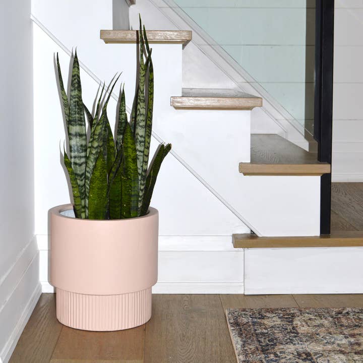 Common House Studio - Wholesale Plant Pot - FLUTED BASE PEDESTAL POT | PLANTER15