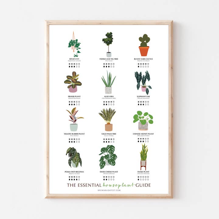 Guide d'entretien des plantes d'intérieur pour la vente par Brown Budapest