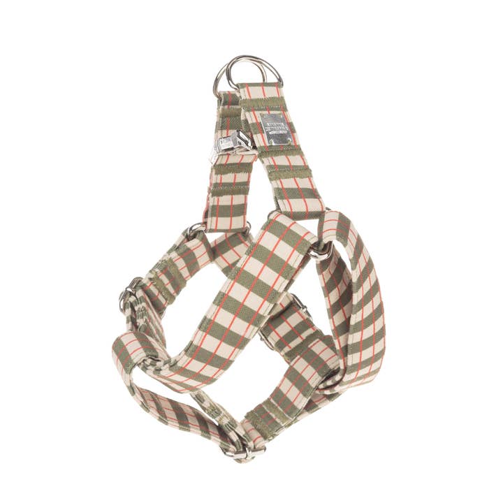 Imbracatura Semplice Matcha per la vendita all'ingrosso da parte di B de Bruno