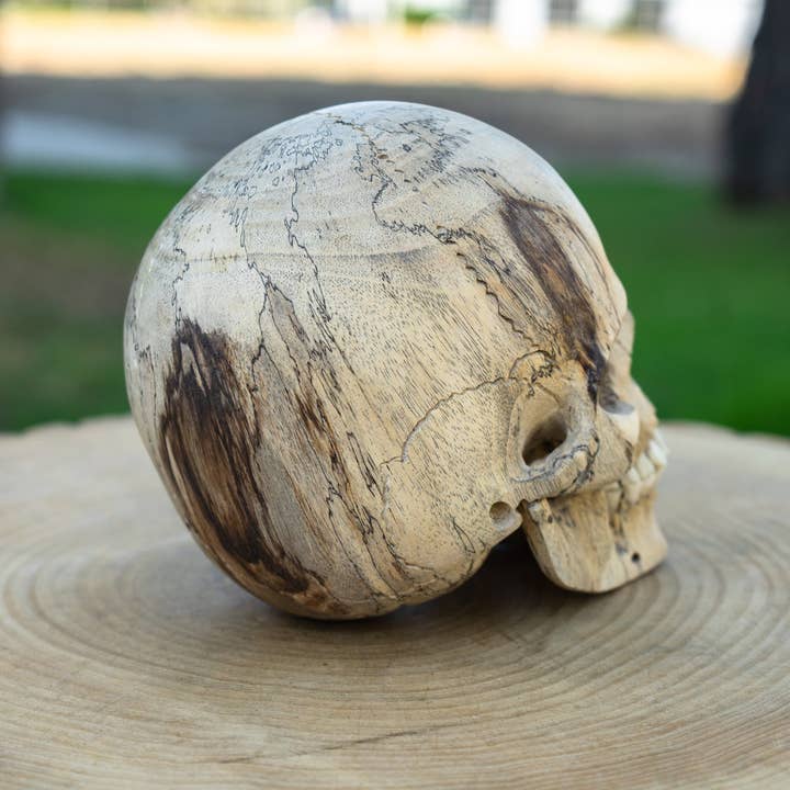 Calavera de madera de tamaño natural de tamarindo de 6 pulgadas para venta al por mayor de OddNot