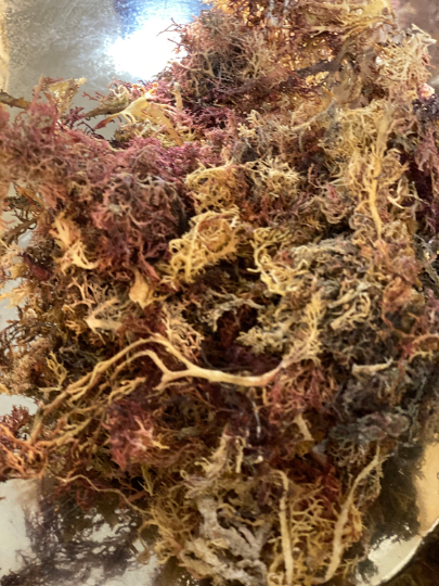 Nature's Lab - Natural Sisters - Wholesale Voedingssupplement/vitamine - Biologische Ierse Zeemos (zongedroogd) - 100% puur2