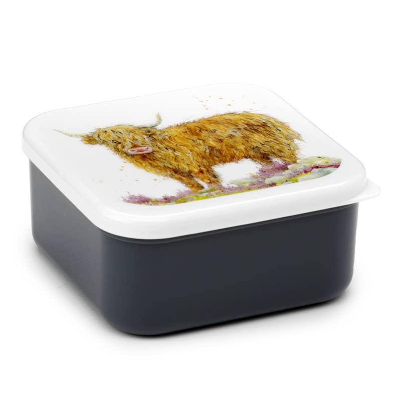 Puckator Ltd - Wholesale Broodtrommel/lunchdoos - Set van 3 lunchbox snackpotten M/L/XL - Highland Coo Cow4
