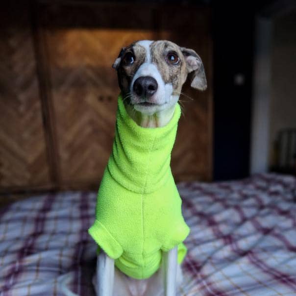 Waterafstotende fleece voor windhonden - Groen, mouwloos voor wholesale door Bella Katee Pets