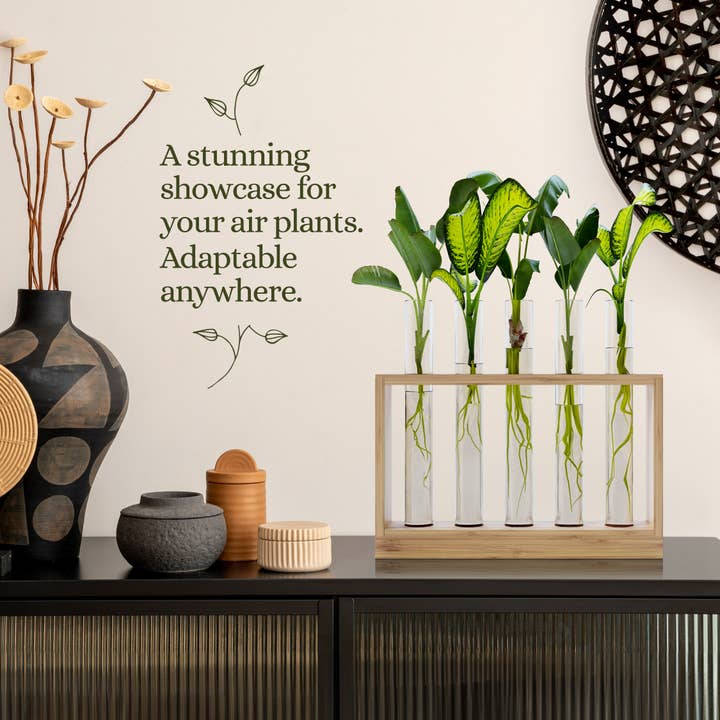 Planter's Choice - Wholesale Live Plant - Light Up Bamboo Vial Air Planter