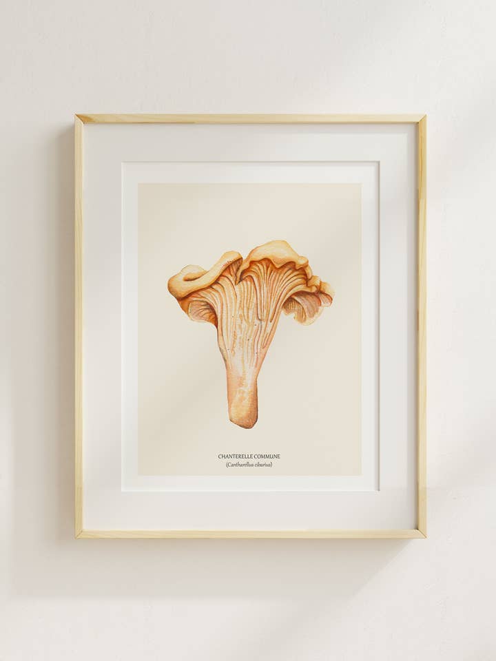 Chanterelle Commune pour la vente par Sarah Choquette Scott Artiste