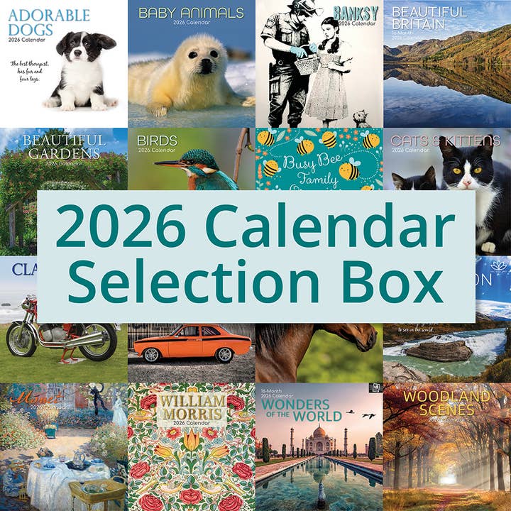 2026 50 Bestseller Calendars Selection for wholesale by The Gifted Stationery Company