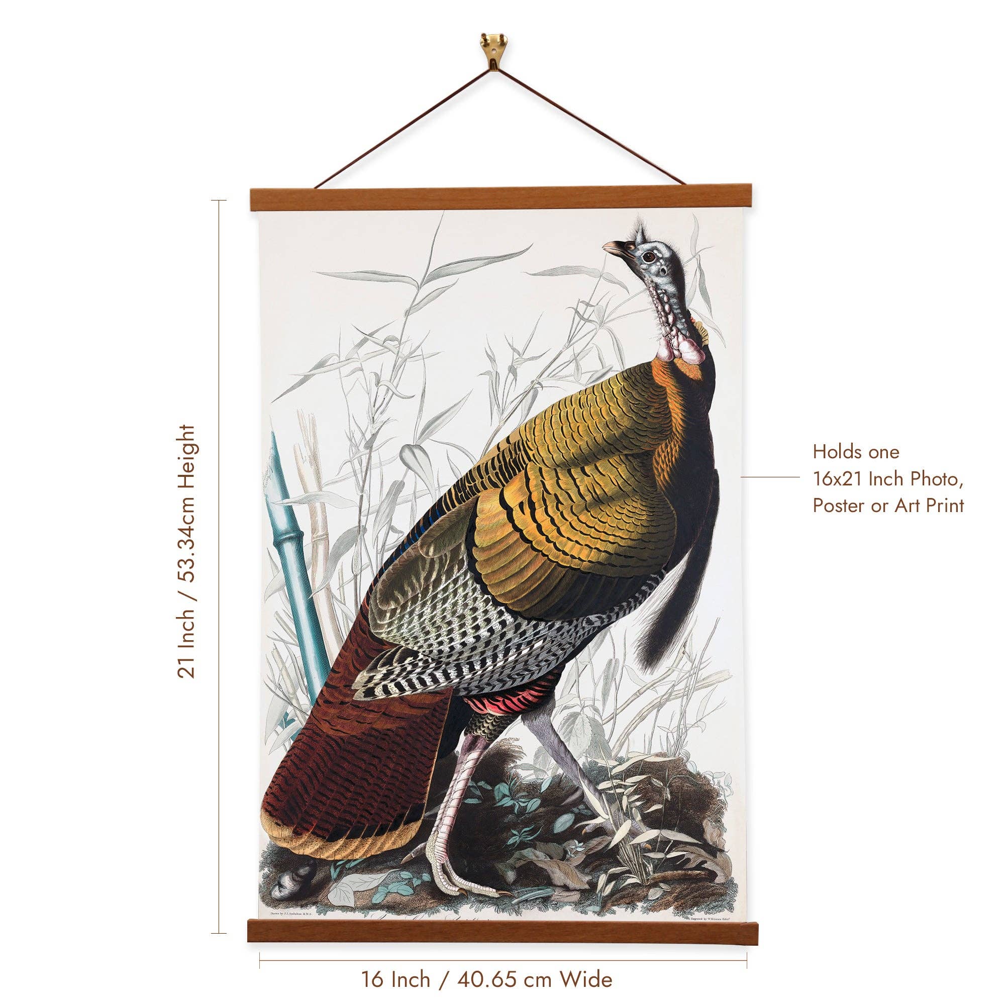 Vintage Banners - Wholesale Art Print - Wild Turkey - James Audubon Framed Wall Art Canvas 1