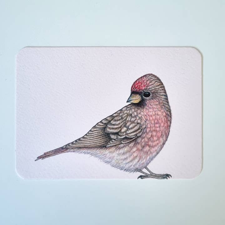 Postal BRAM para venta al por mayor de Studio Binck