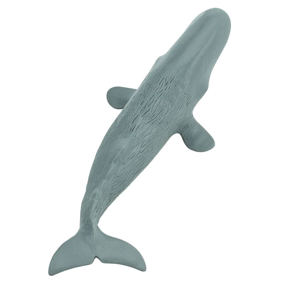 Safari Ltd. - Wholesale Figurine Toy - Kids - Sperm Whale Figurine Toy for Kids2