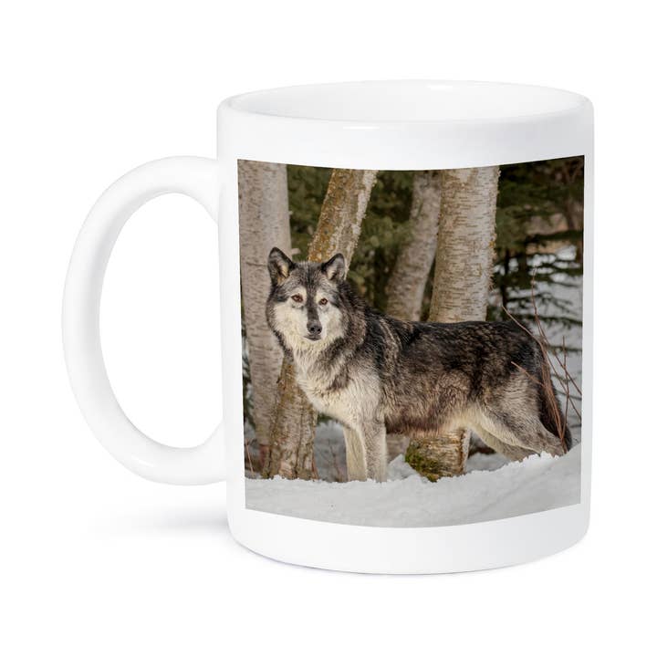 3dRose, Gray Wolf stands poud in winter scenic, canis lupus, Montana, Mug for wholesale by 3dRose