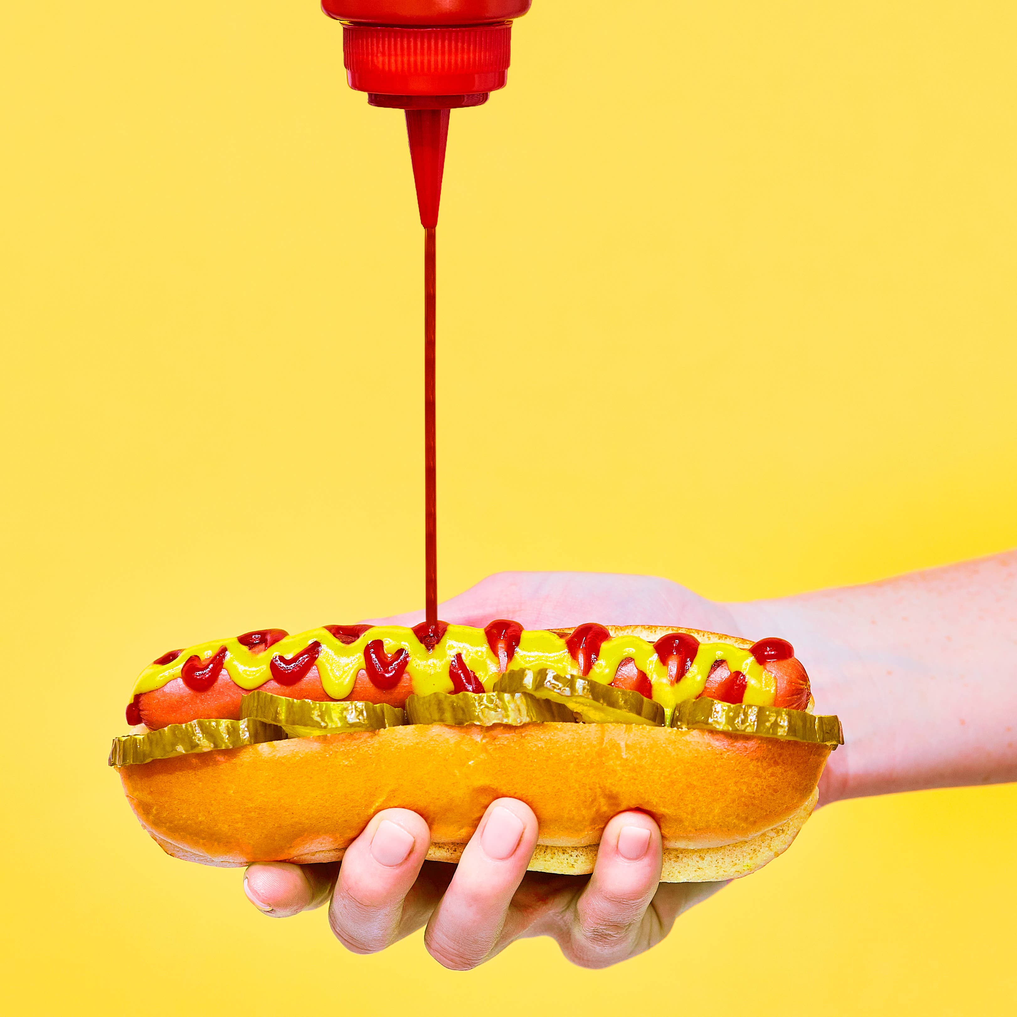 Pickle Project – wholesale Pickled vegetables – Sweet Dill Pickle Chips 8 x 500g2