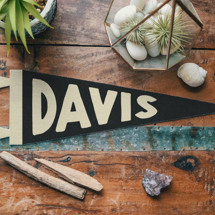 Custom Fun Name Sign Felt Pennant - Bold Style for wholesale by Benoit's Design Co.