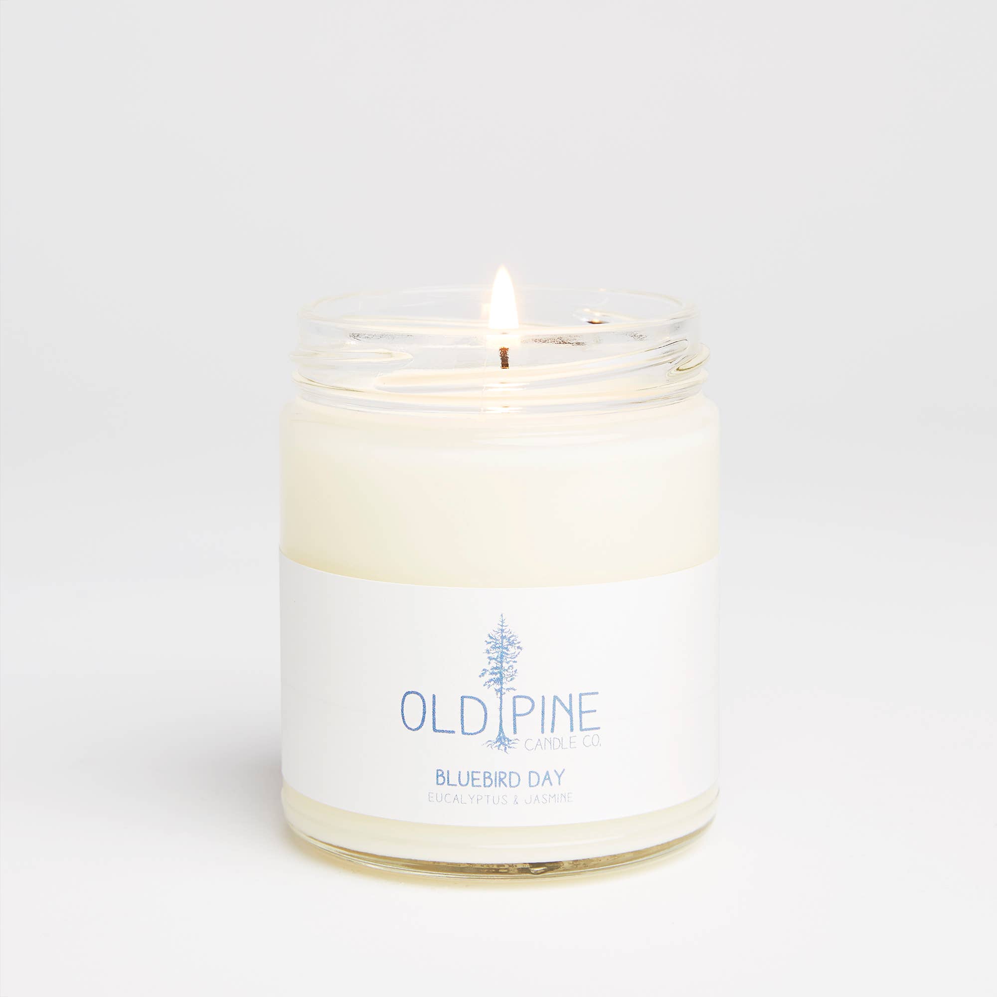 Old Pine Candle Co - Vente Bougie en bocal - Bougie Jour Bluebird2