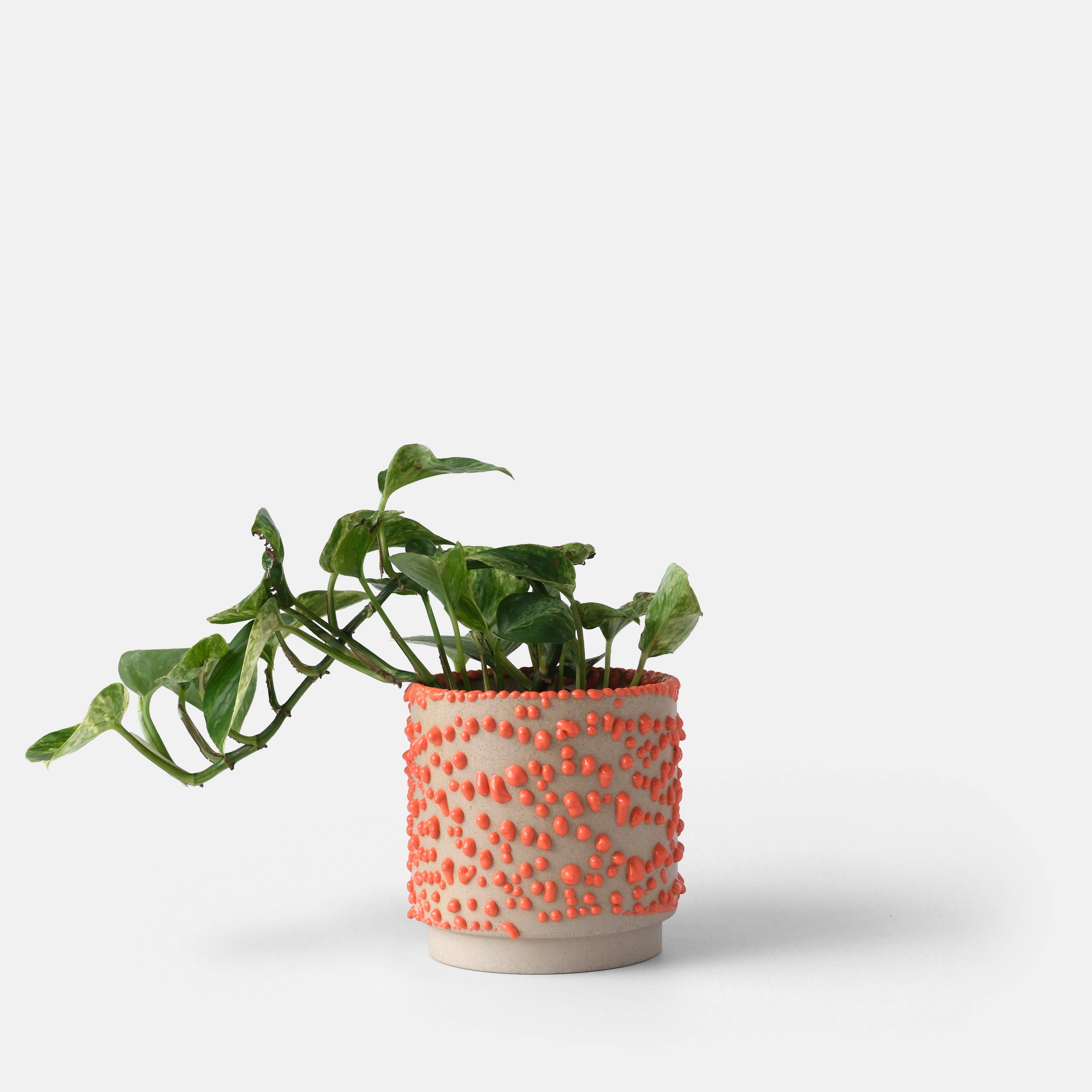 Misewell - Wholesale Plant Pot - Kolo (Gloopy) Planter8