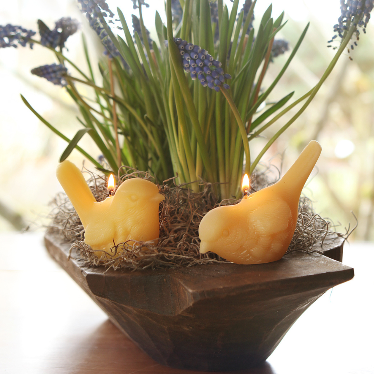 Big Dipper Wax Works - Wholesale Novelty Candle - Song Bird Candles – 100% Pure Beeswax – Hand-Crafted2