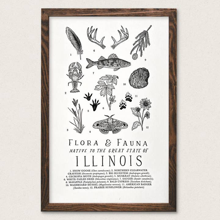 Illinois Field Guida per la vendita all'ingrosso da parte di The Wild Wander