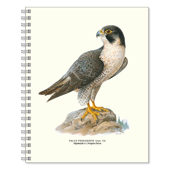 Writebook Pilgrimsfalcon for wholesale by Gullers Trading AB