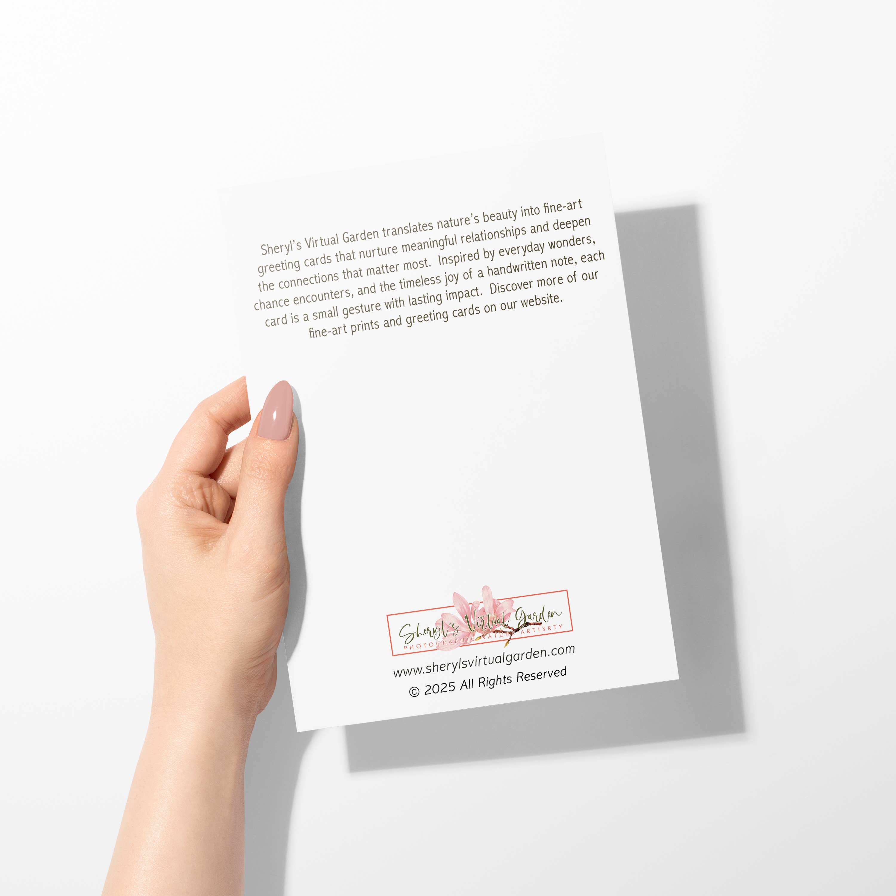 Sheryl’s Virtual Garden - Wholesale Everyday Greeting Card - Cattleya Duet Single 5x7 White & Purple Orchid Greeting Card2