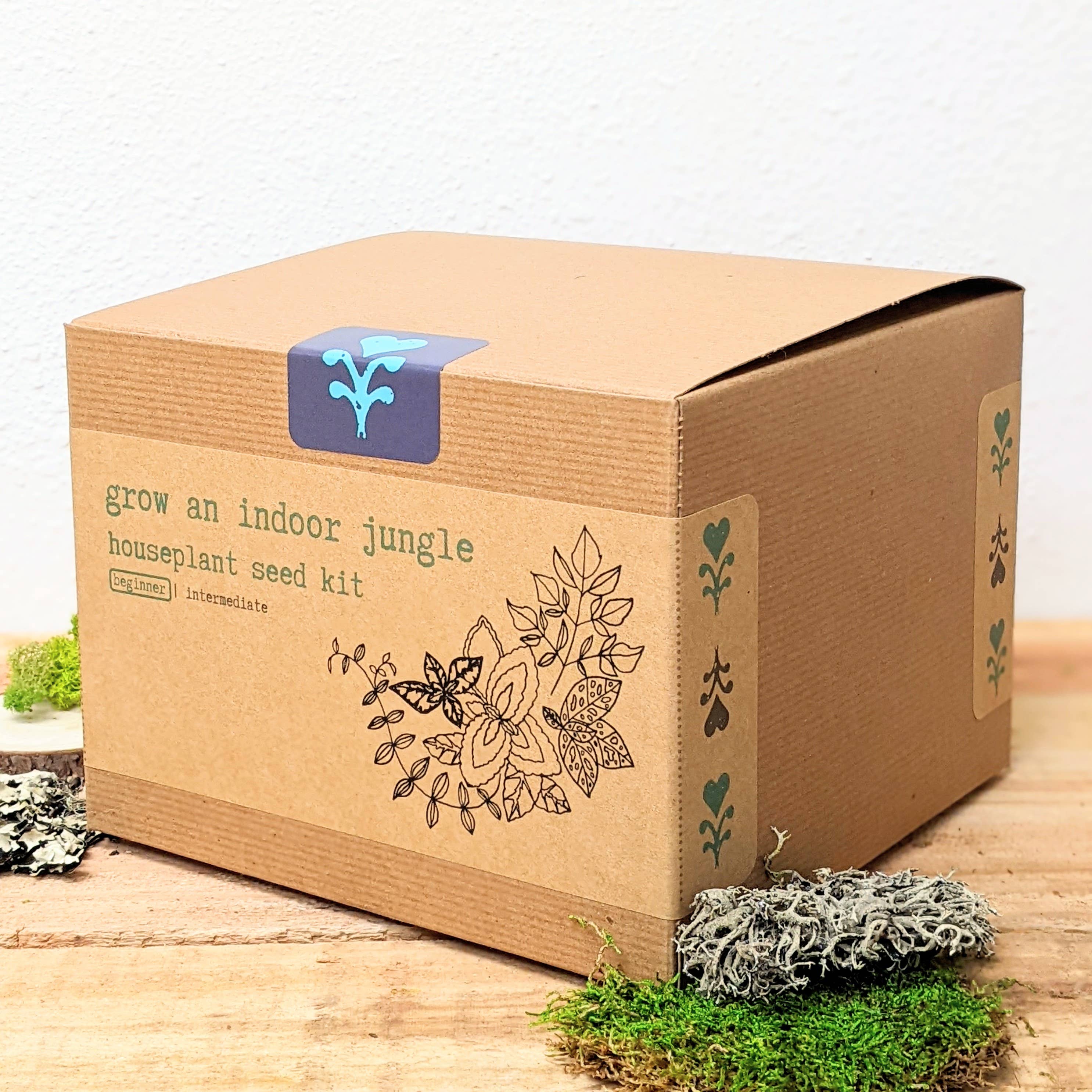 Plantflix - Vente Graines de plantes - Kit de graines pour plantes d'intérieur « Grow an Indoor Jungle »14